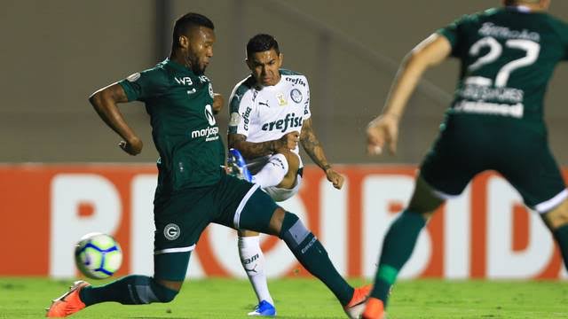 Goiás x Palmeiras - Onde assistir, horário e escalações pelo Brasileirão